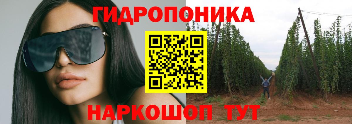 Бошки Шишки индика Чернушка